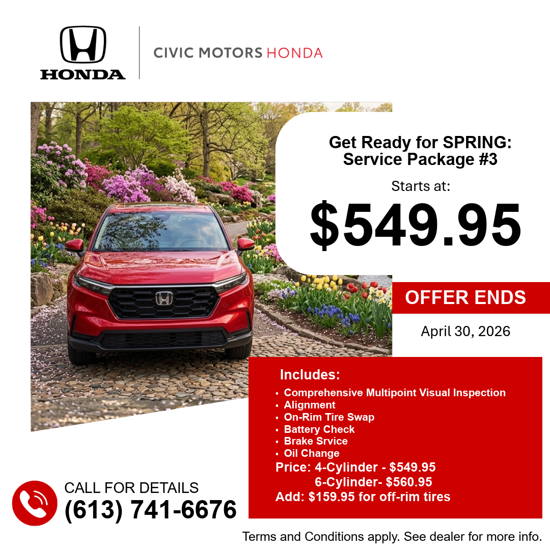 GET READY FOR SPRING – Service Package #3